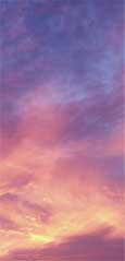 image of a lavender sunset